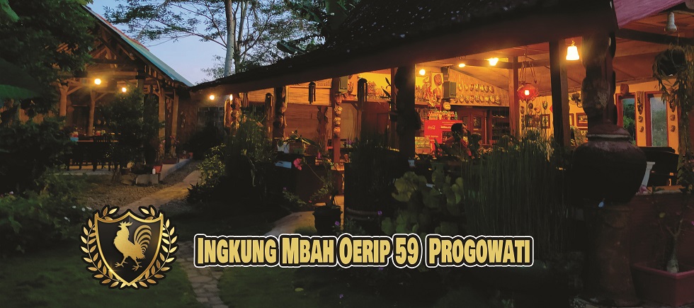 about-greenforet-img